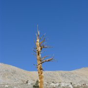 SouthernSierra 206 : SouthernSierra